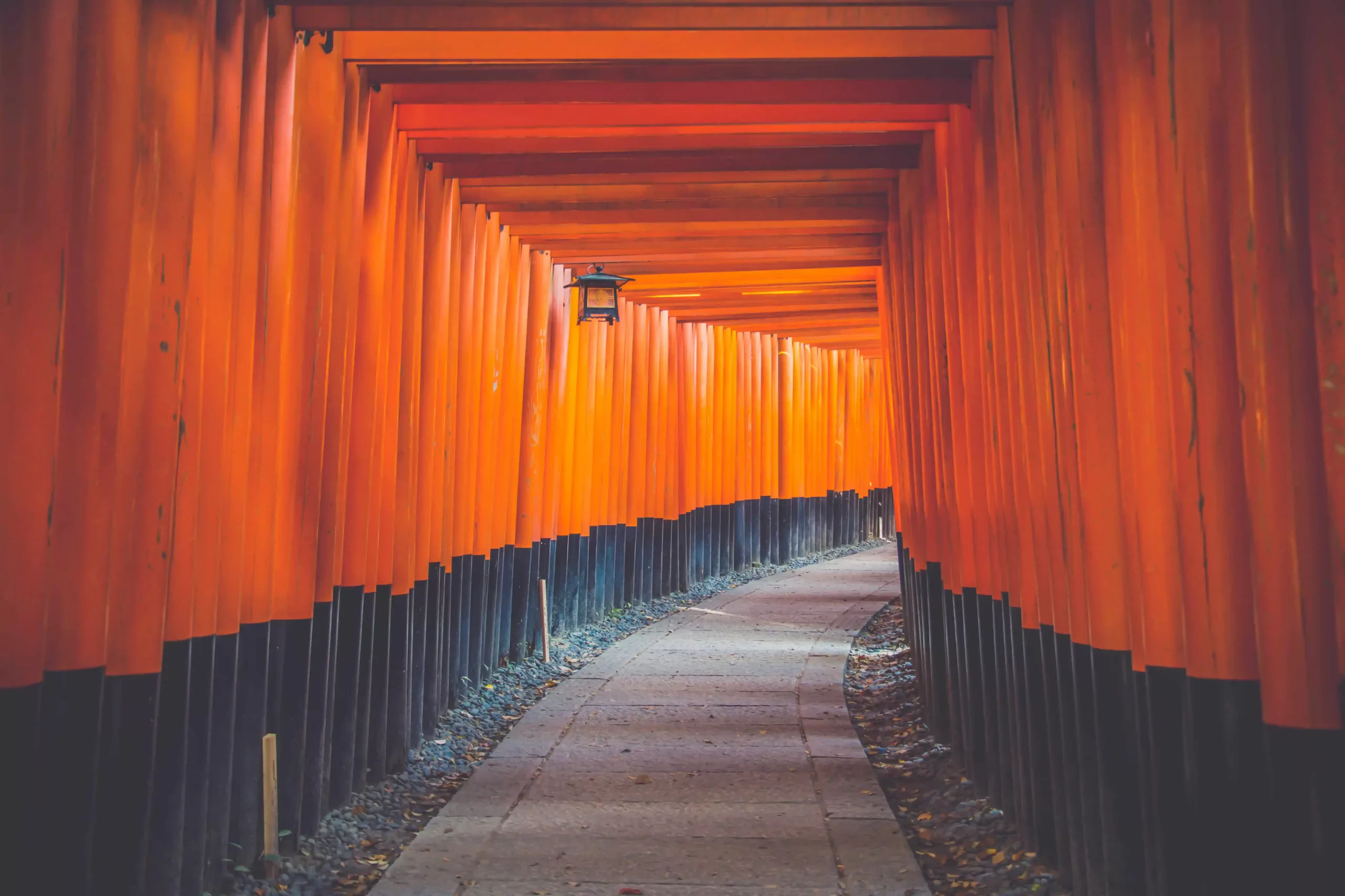 A luminous tunnel of vibrant orange Japanese gates in Central Park, symbolizing a path to holistic well-being at The Healing Narrative